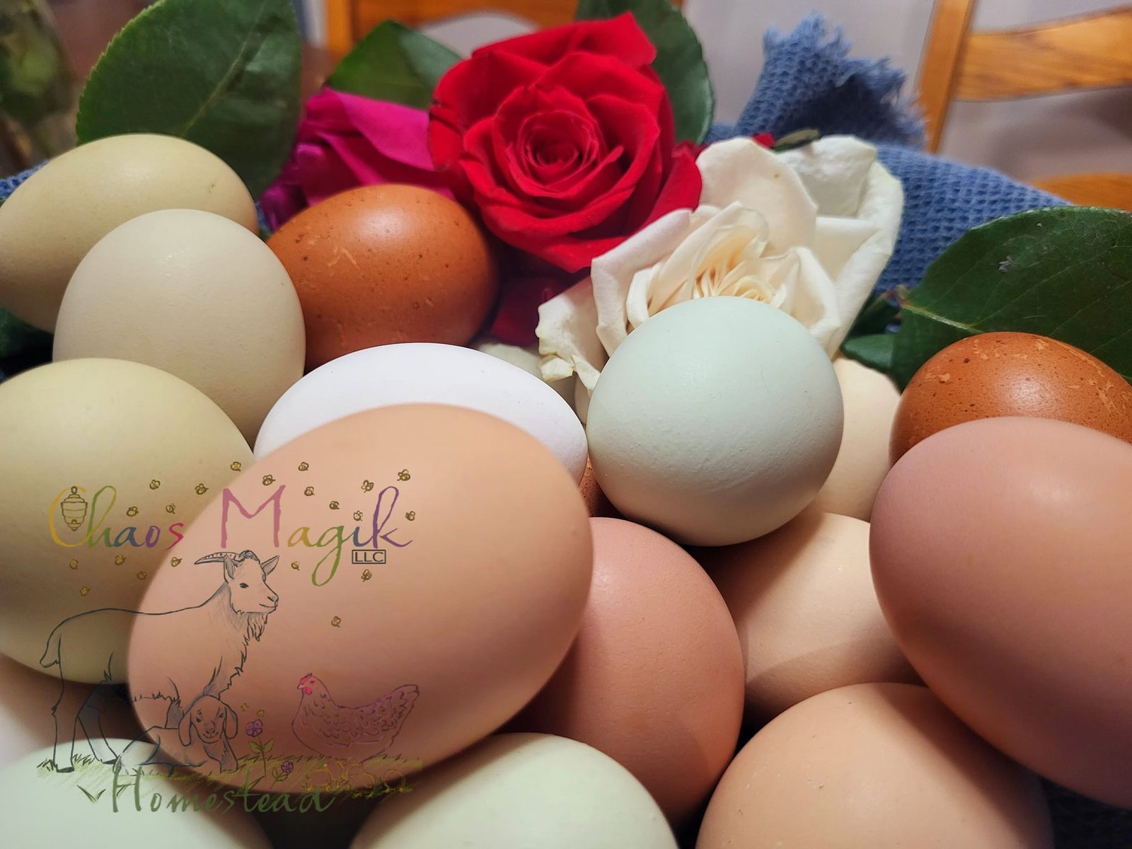 Free Range Rainbow Dozen Eggs